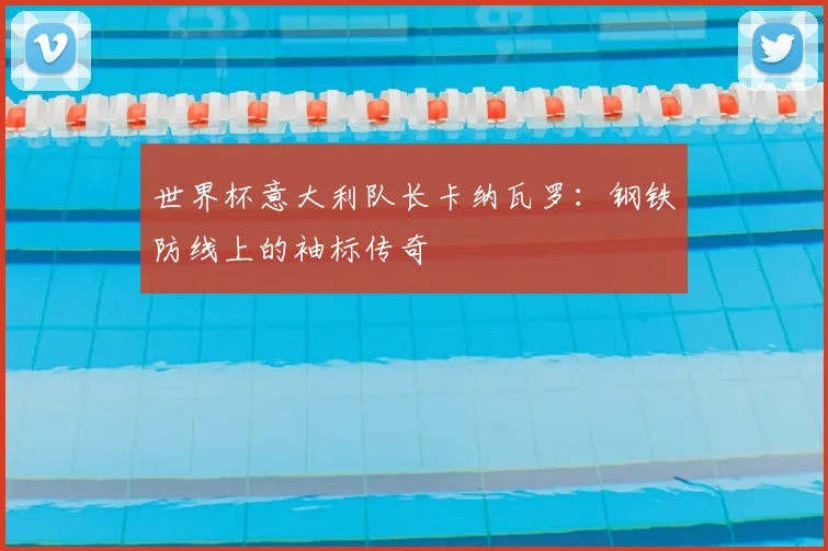 世界杯意大利队长卡纳瓦罗:钢铁防线上的袖标传奇