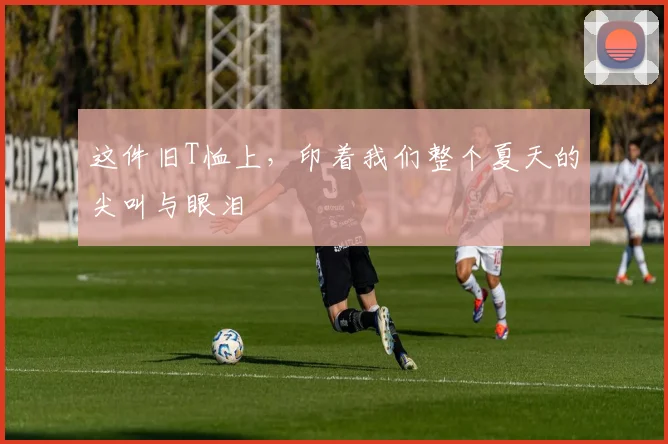 这件旧T恤上，印着我们整个夏天的尖叫与眼泪